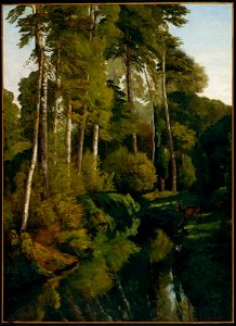 Gustave Courbet - Stream in the Forest - 55.982 - Museum of Fine Arts