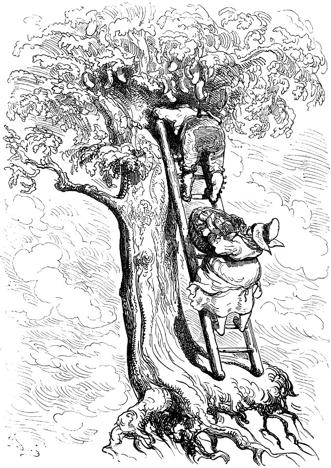 Gustave Doré - Baron von Münchhausen - 051