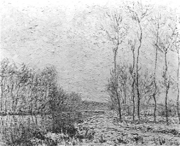 Gustave Loiseau - Winter on the Banks of the Eure - 19.1320 - Museum of Fine Arts