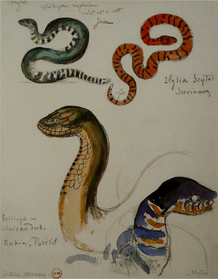 Gustave Moreau - Quatre études de serpents