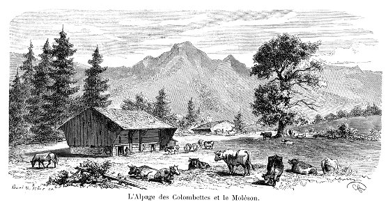 Gustave Roux 05 L'Alpage des Colombettes et le Moléson