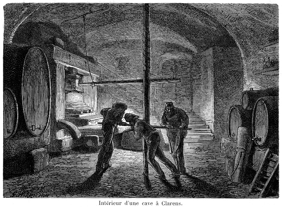 Gustave Roux 29 Intérieur d'une cave à Clarens