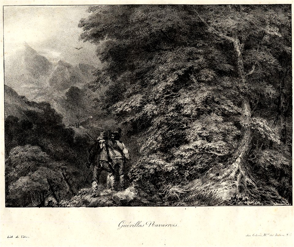 Guérillas Navarrois (BM 2006,U.363)