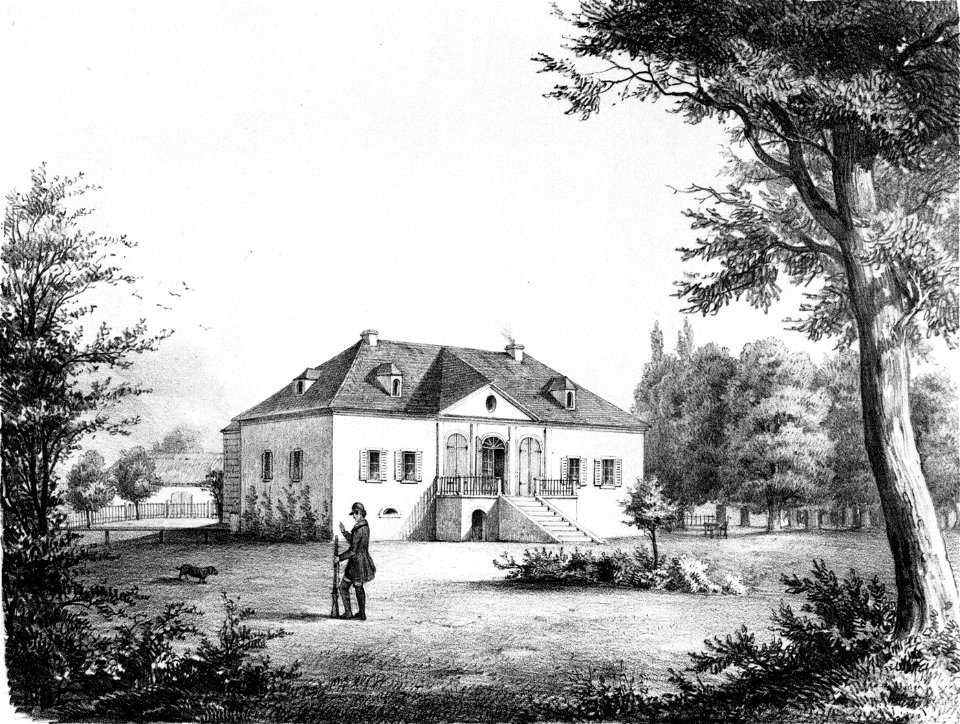 Gutta (Heise, 1850)