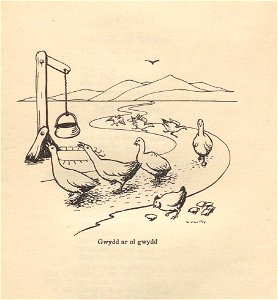 Gwydd ar ol gwydd
