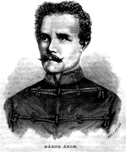 Gábor Áron Vasárnapi Ujság 1881