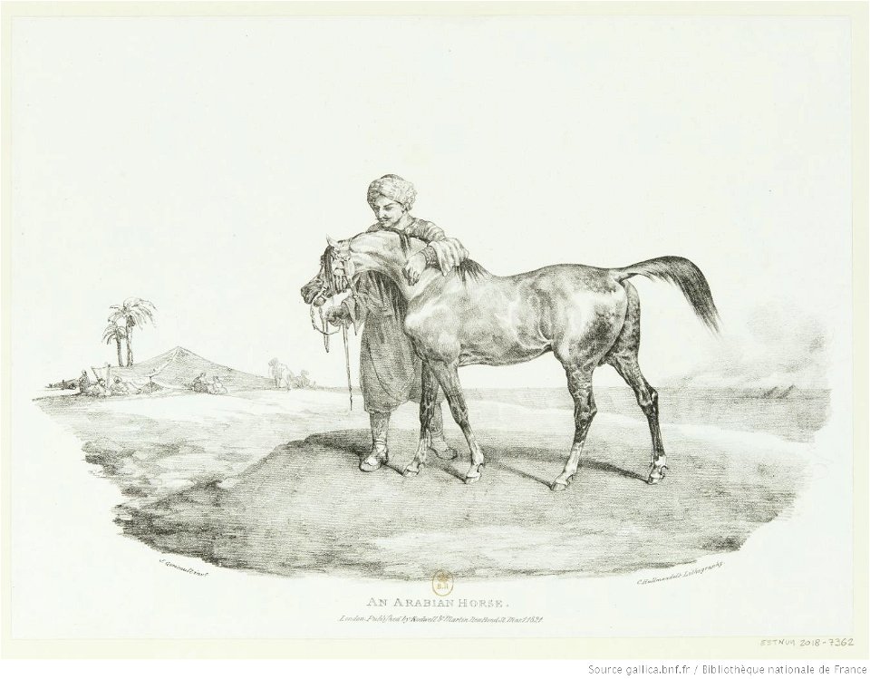 Géricault - An Arabian Horse, btv1b100289549