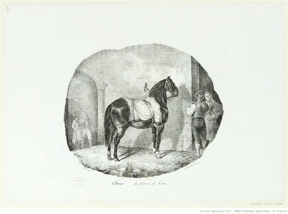 Géricault - Cheval (de) la plaine de Caen, 3e état, btv1b10029181h
