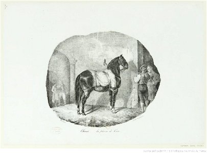 Géricault - Cheval (de) la plaine de Caen, 3e état, btv1b10029181h