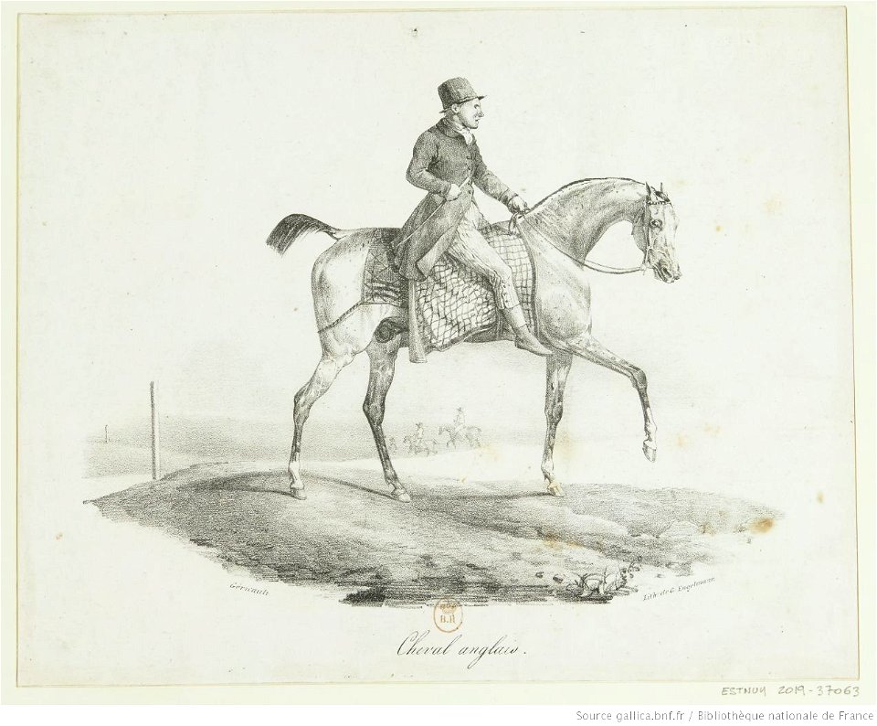 Géricault - Cheval anglais, btv1b10028049q