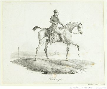 Géricault - Cheval anglais, btv1b10028049q