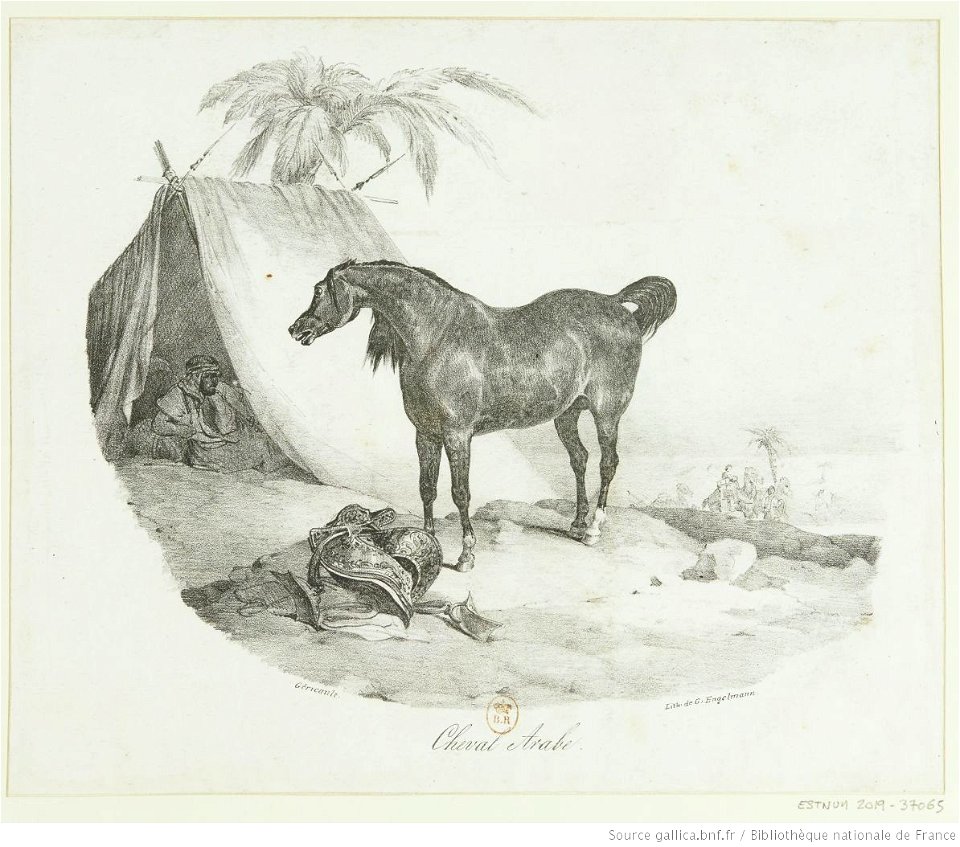 Géricault - Cheval Arabe, btv1b10028053f