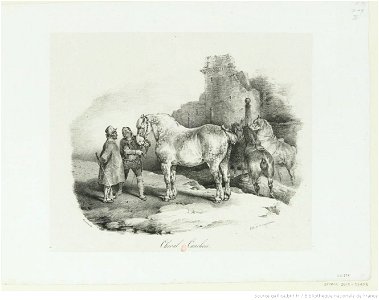 Géricault - Cheval Cauchois, btv1b10028734q