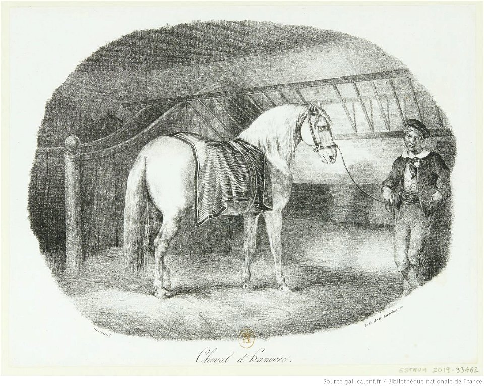 Géricault - Cheval d'Hanovre, btv1b10029177s