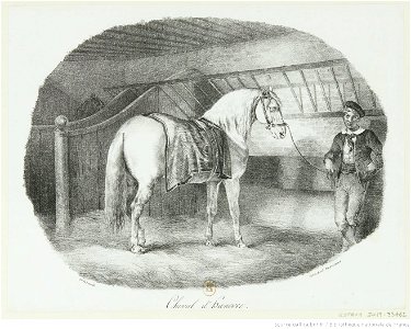 Géricault - Cheval d'Hanovre, btv1b10029177s