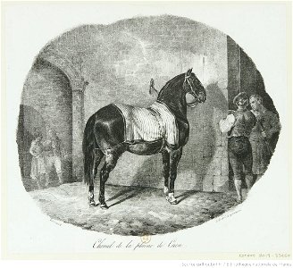 Géricault - Cheval de la plaine de Caen, btv1b100291893