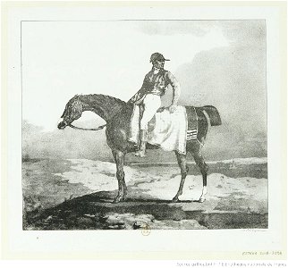 Géricault - Cheval anglais monté par un jockey, 3e état, btv1b100288059