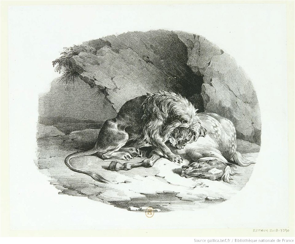 Géricault - Cheval dévoré par un lion, 1er état, btv1b10028821b