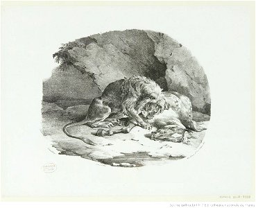 Géricault - Cheval dévoré par un lion, btv1b10028829x
