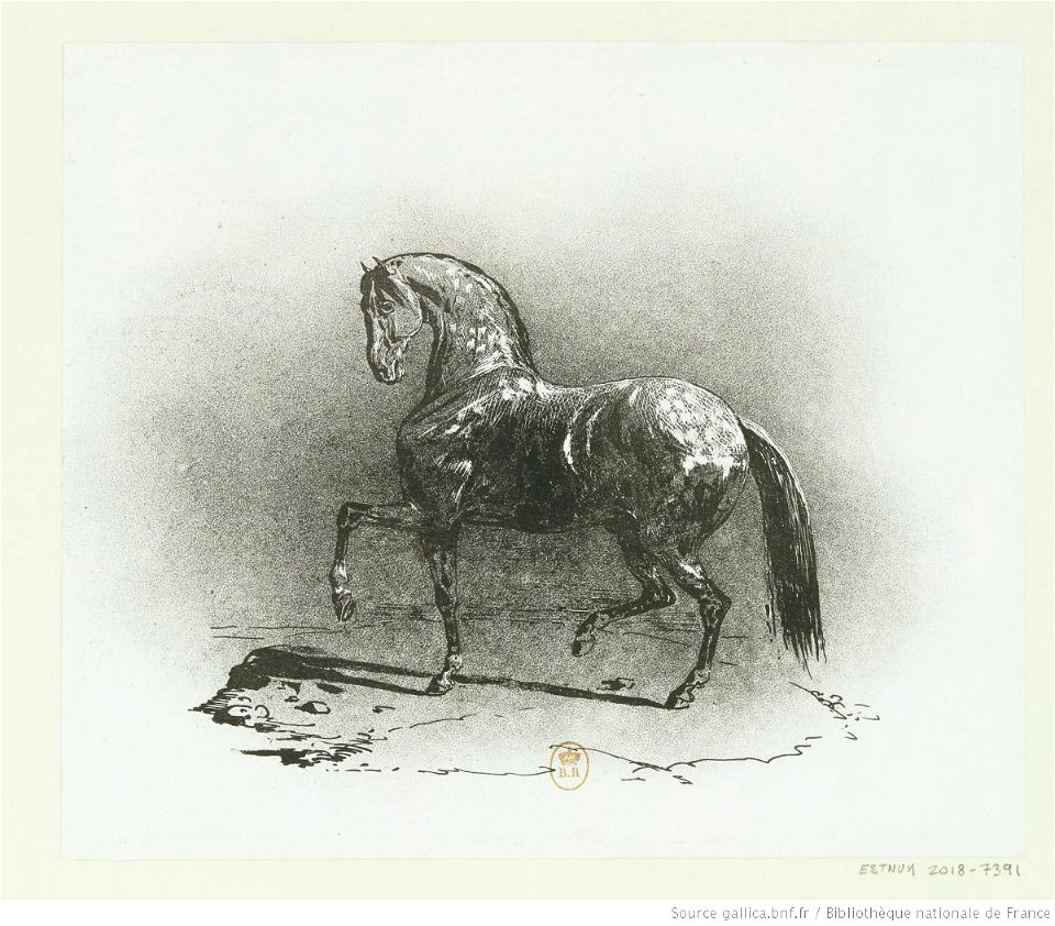 Géricault - Cheval au trot, btv1b10028817m