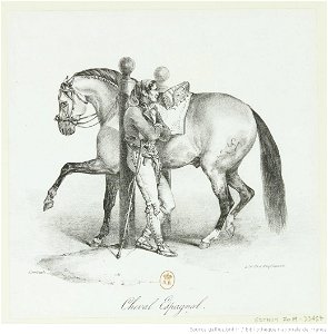 Géricault - Cheval Espagnol, btv1b10029199h