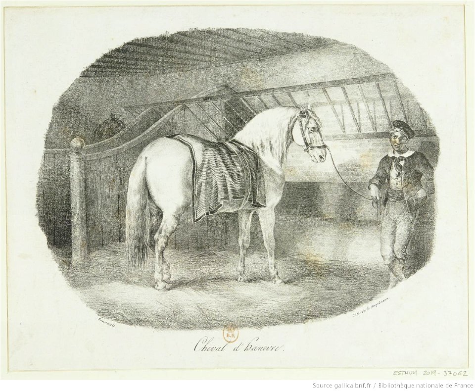 Géricault - Cheval d'Hanovre, btv1b10028101v