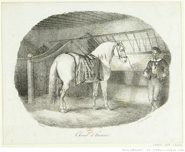 Géricault - Cheval d'Hanovre, btv1b10028101v