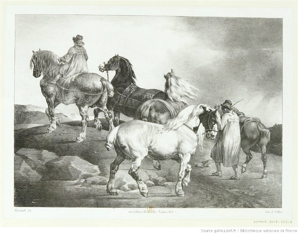 Géricault - Chevaux conduits à la foire, btv1b10028518x