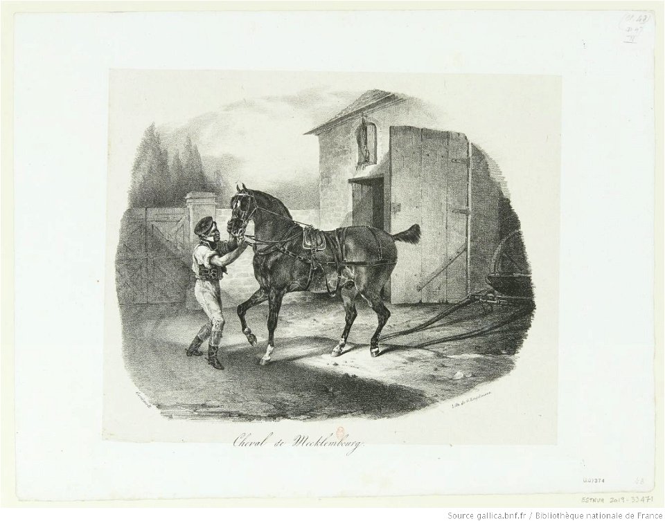 Géricault - Cheval de Mecklembourg, btv1b10028758b