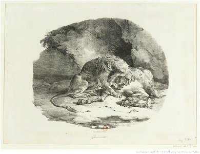 Géricault - Cheval dévoré par un lion, 4e état, btv1b10028126x