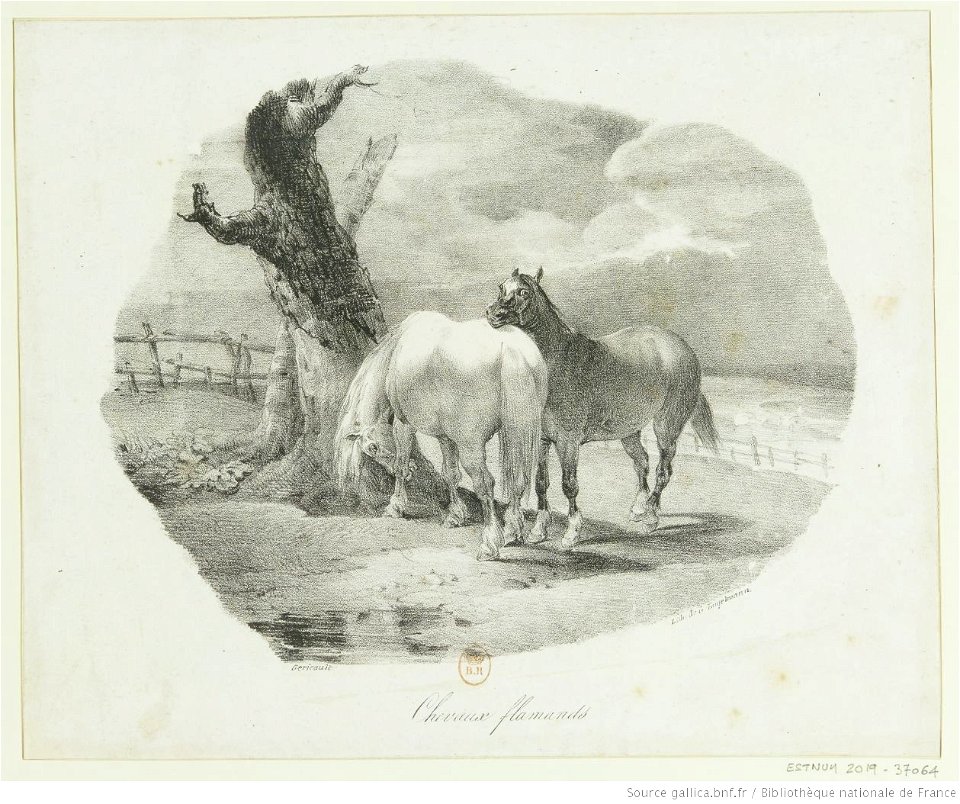Géricault - Chevaux flamands, btv1b10028051j