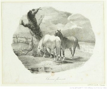 Géricault - Chevaux flamands, btv1b10028051j