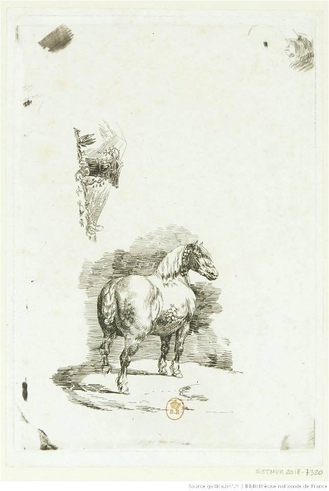 Géricault - Cheval gris pommelé, btv1b100291535