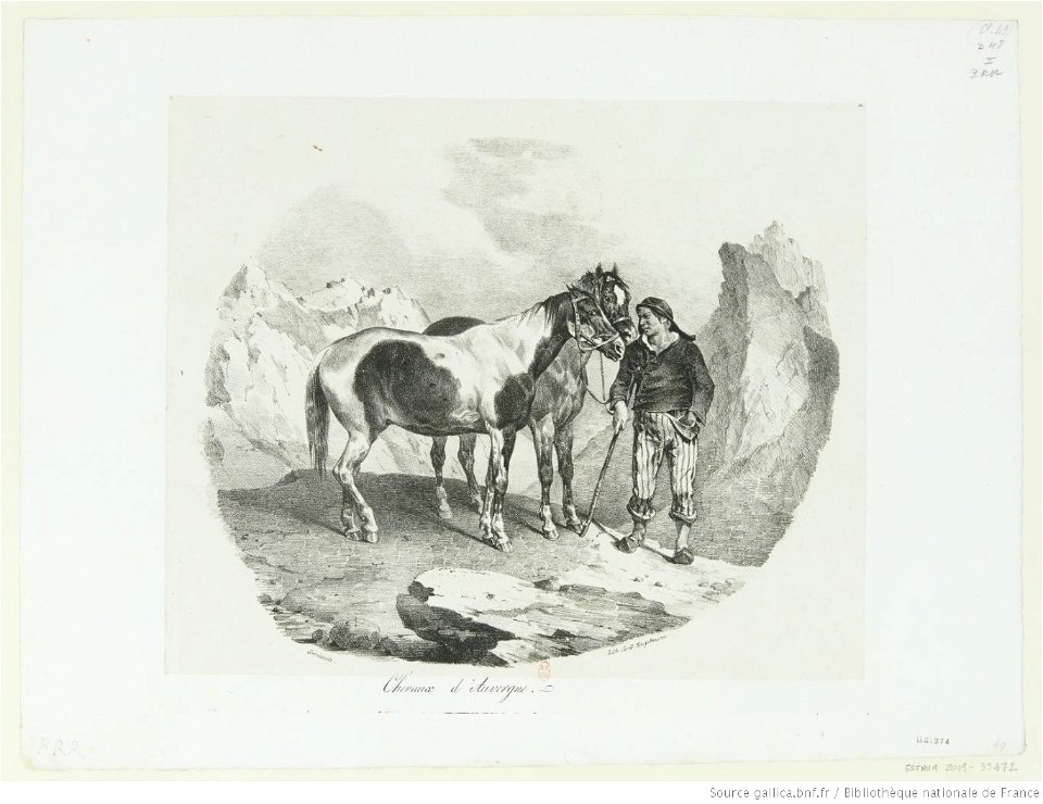 Géricault - Chevaux d'Auvergne, btv1b100287461