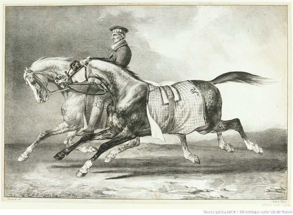 Géricault - Deux chevaux gris pommelé que l'on promène, btv1b10028061z