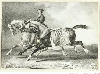 Géricault - Deux chevaux gris pommelé que l'on promène, btv1b10028061z