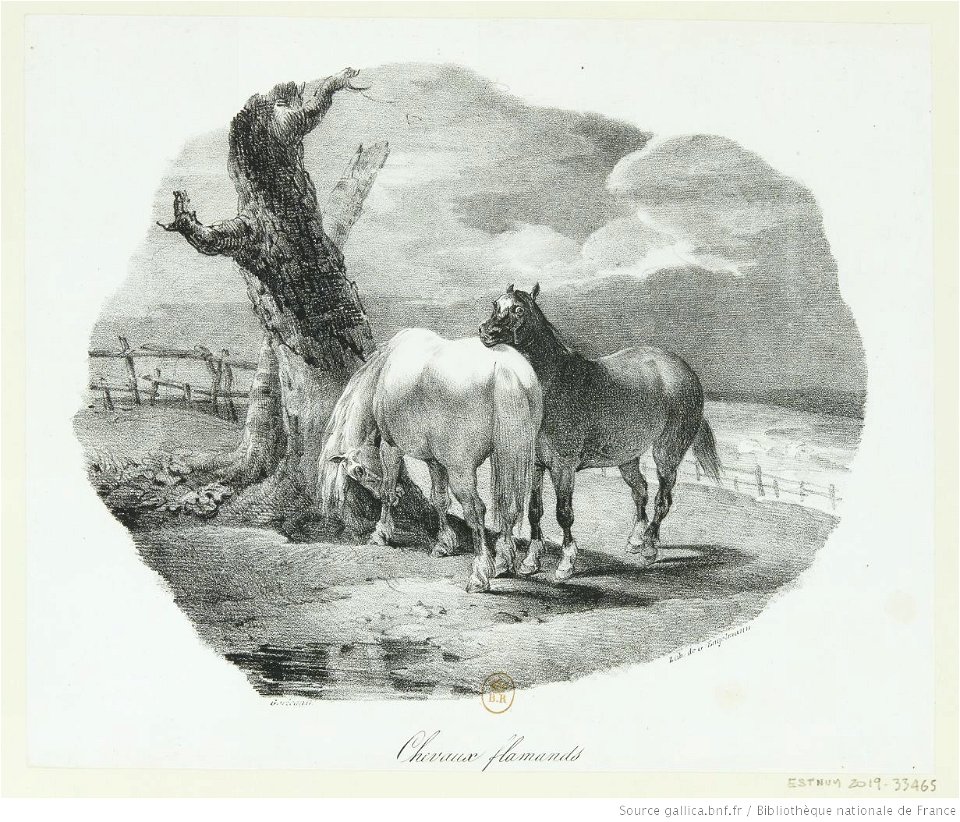 Géricault - Chevaux flamands, btv1b100287088