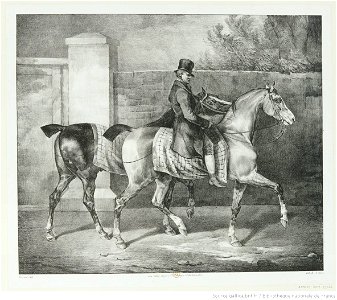 Géricault - Deux chevaux promenés par un jockey, btv1b100284925