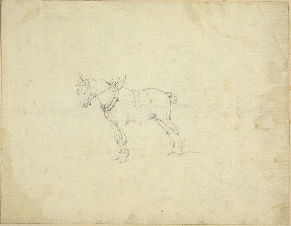 Géricault - Draught Horse, 1818-19