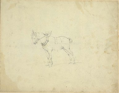 Géricault - Draught Horse, 1818-19