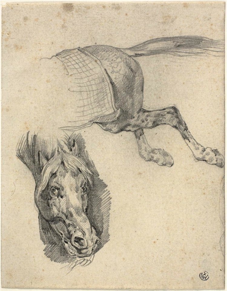 Géricault - Head and Hindquarters of a Racing Horse, 1811–1824