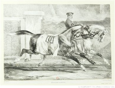 Géricault - Horses airing (au lieu de Horses exercising), 1er état, btv1b10028968h