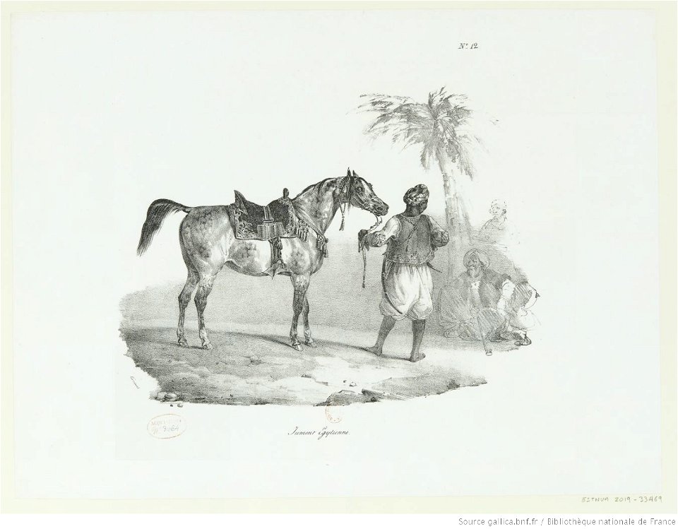 Géricault - Jument Egytienne (sic), 4e état, btv1b10028666g