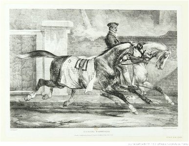 Géricault - Horses exercising, 3e état, btv1b100289638