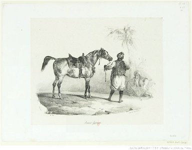 Géricault - Jument Egytienne (sic), btv1b100286723