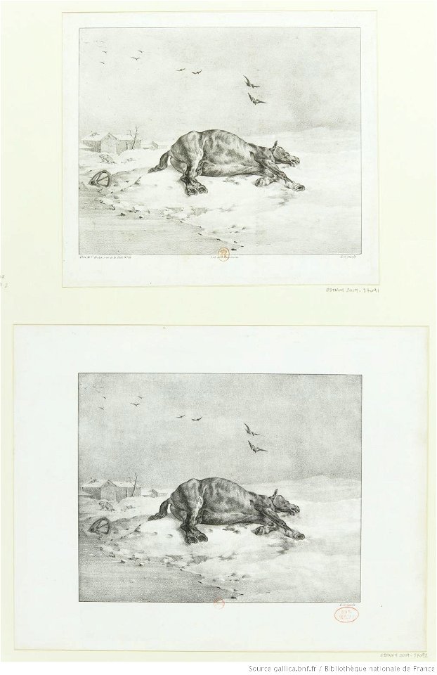 Géricault - Le cheval mort, 4e état, btv1b10028092n