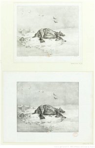 Géricault - Le cheval mort, 4e état, btv1b10028092n