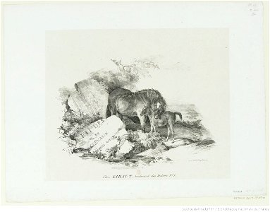 Géricault - La jument et son poulain, btv1b10028782w
