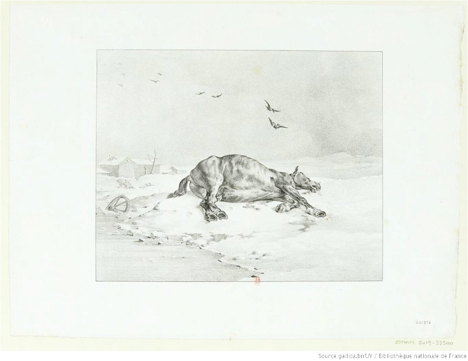 Géricault - Le cheval mort, 1er état, btv1b10028615z