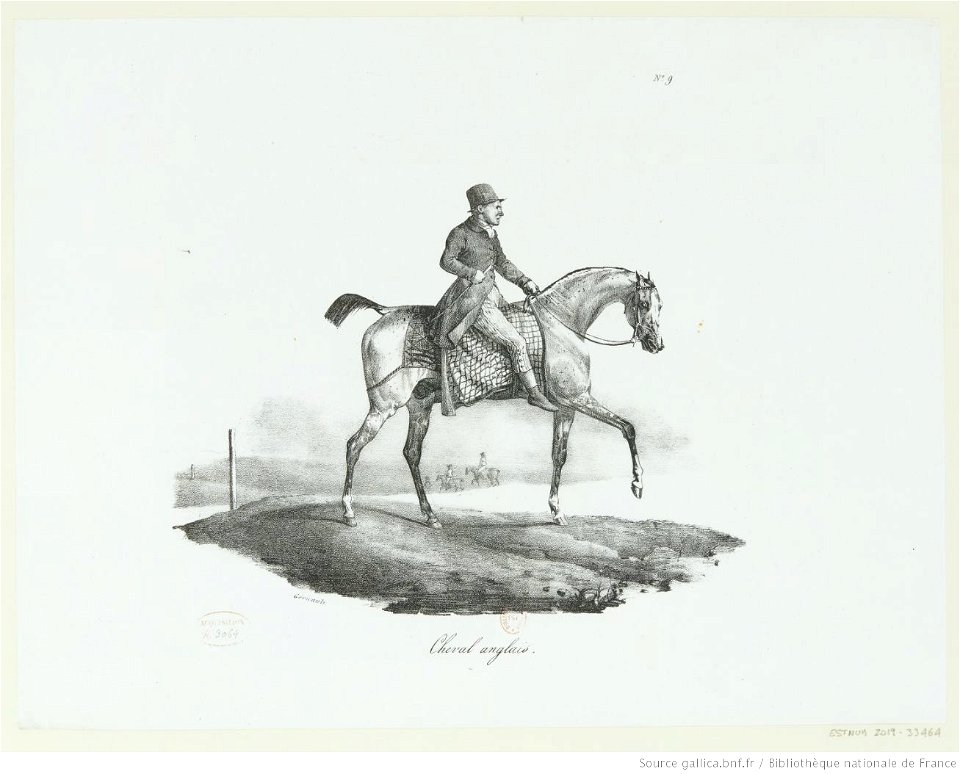 Géricault - Cheval anglais, 4e état, btv1b10028714w